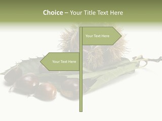 Autumn Brown Organic PowerPoint Template