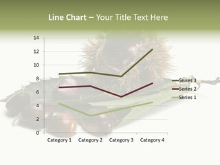 Autumn Brown Organic PowerPoint Template