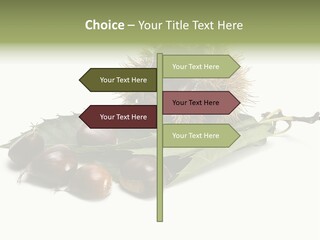 Autumn Brown Organic PowerPoint Template