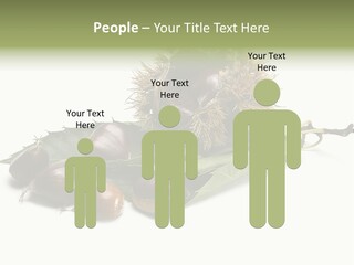 Autumn Brown Organic PowerPoint Template