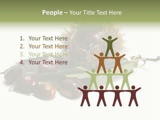 Autumn Brown Organic PowerPoint Template