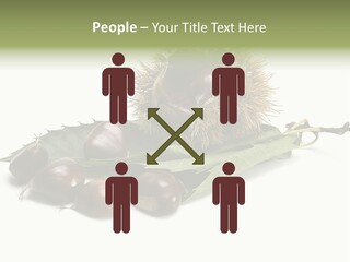 Autumn Brown Organic PowerPoint Template