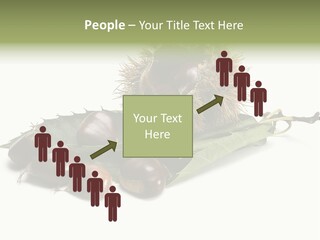 Autumn Brown Organic PowerPoint Template