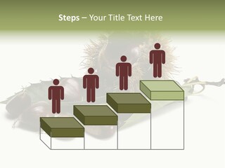 Autumn Brown Organic PowerPoint Template