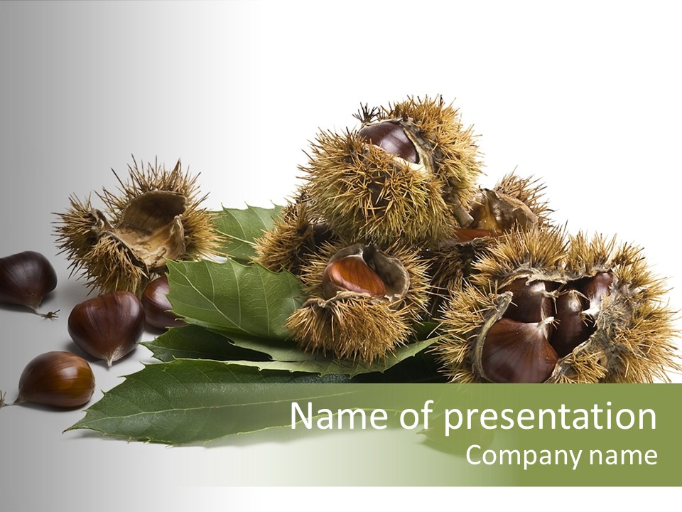 Chestnut White Agriculture PowerPoint Template