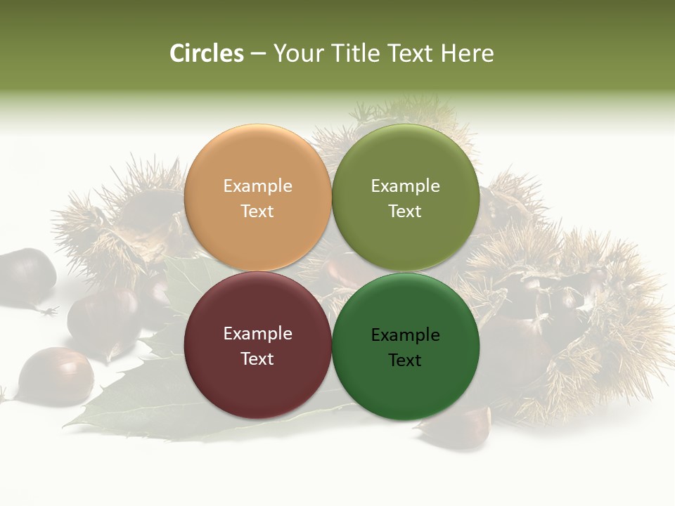 Chestnut White Agriculture PowerPoint Template