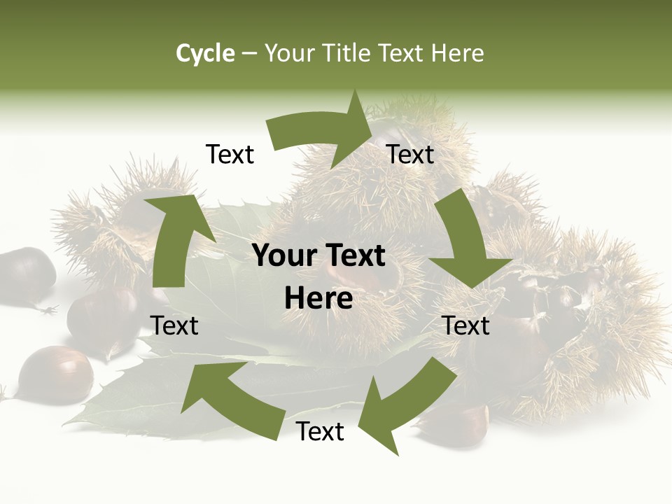 Chestnut White Agriculture PowerPoint Template