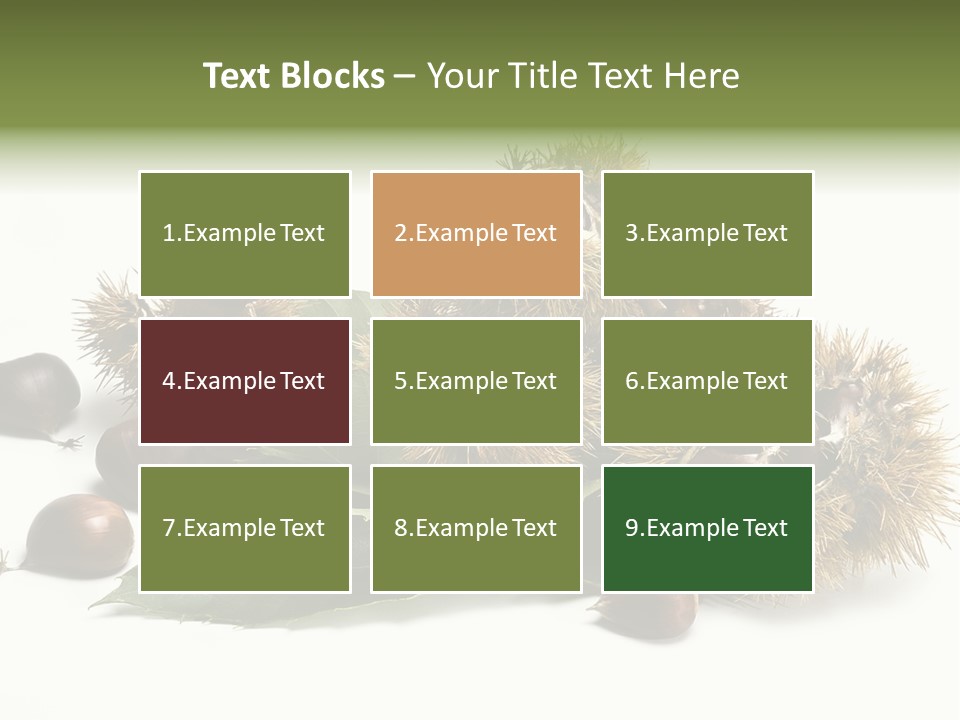Chestnut White Agriculture PowerPoint Template