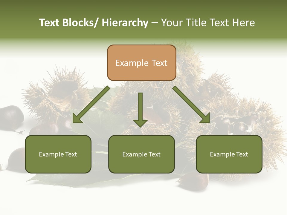 Chestnut White Agriculture PowerPoint Template