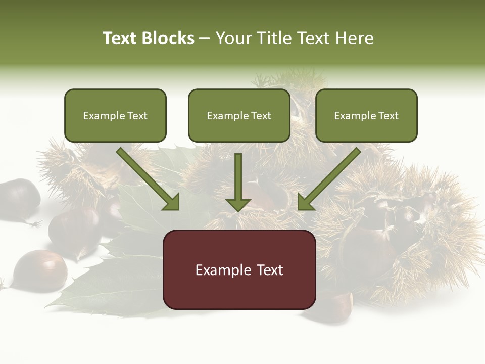 Chestnut White Agriculture PowerPoint Template