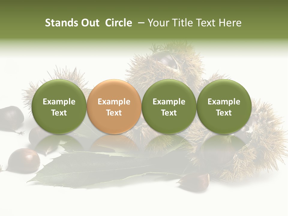 Chestnut White Agriculture PowerPoint Template
