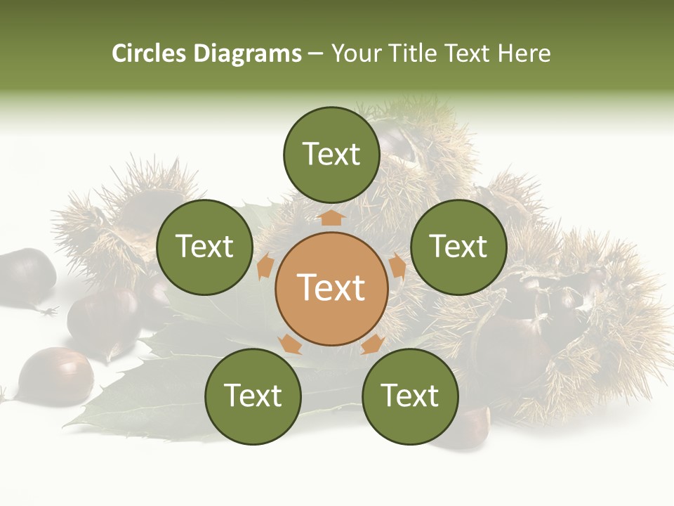 Chestnut White Agriculture PowerPoint Template