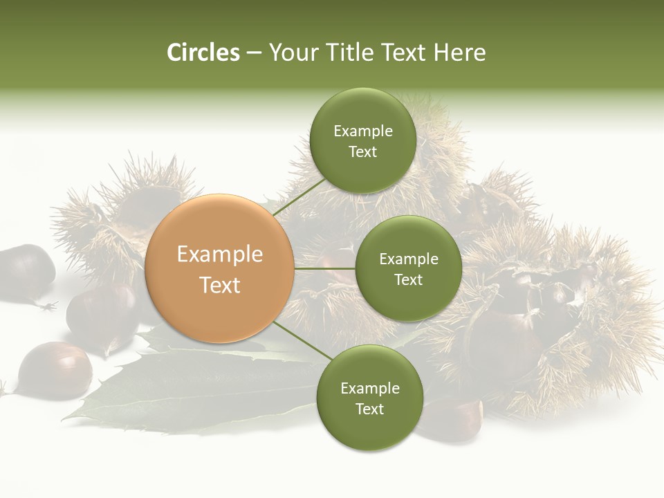 Chestnut White Agriculture PowerPoint Template