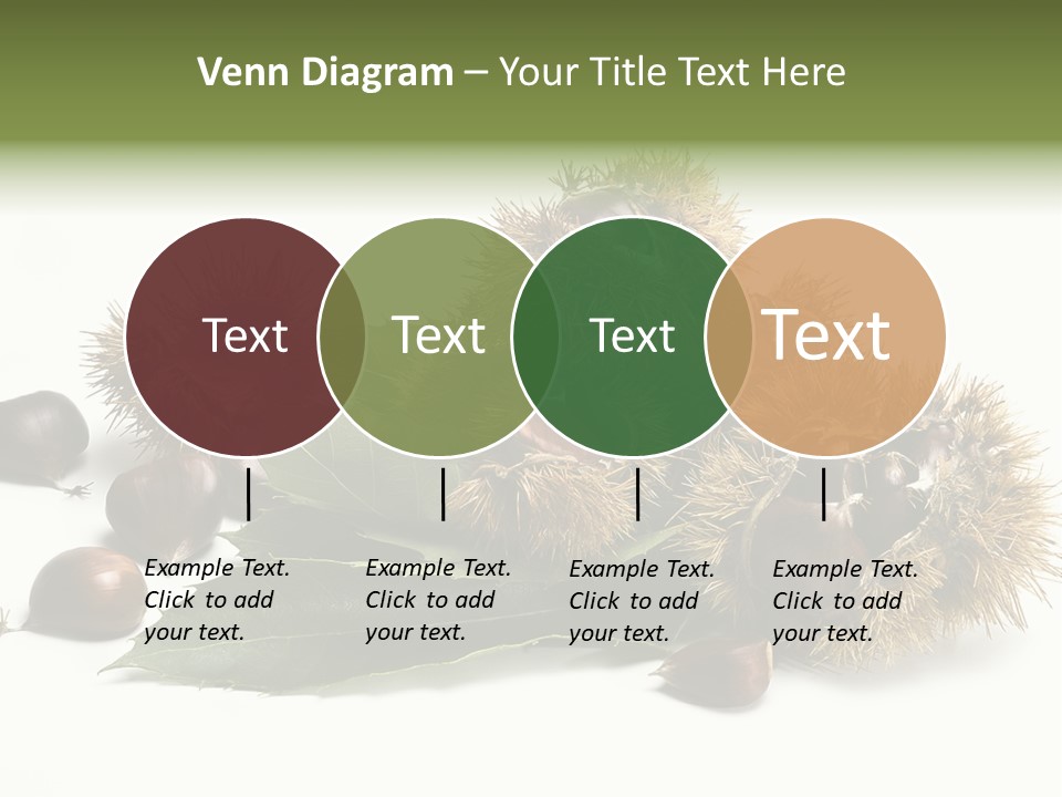 Chestnut White Agriculture PowerPoint Template