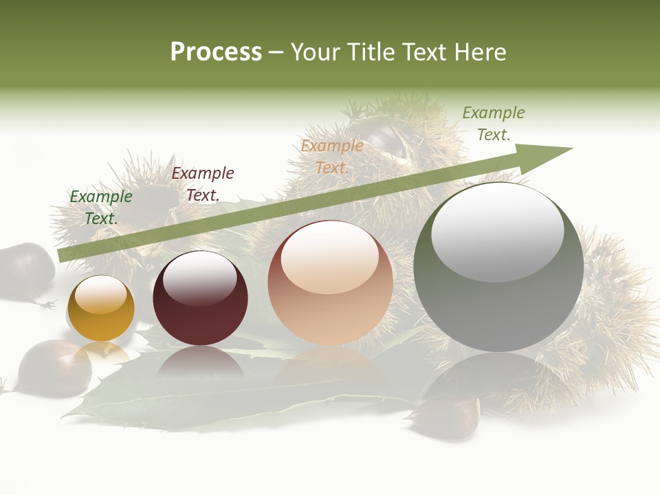 Chestnut White Agriculture PowerPoint Template