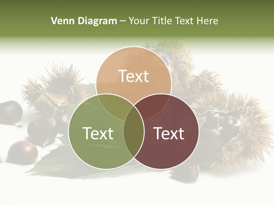 Chestnut White Agriculture PowerPoint Template