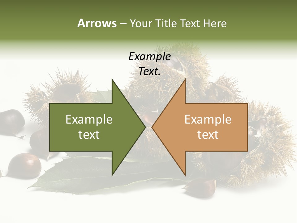 Chestnut White Agriculture PowerPoint Template