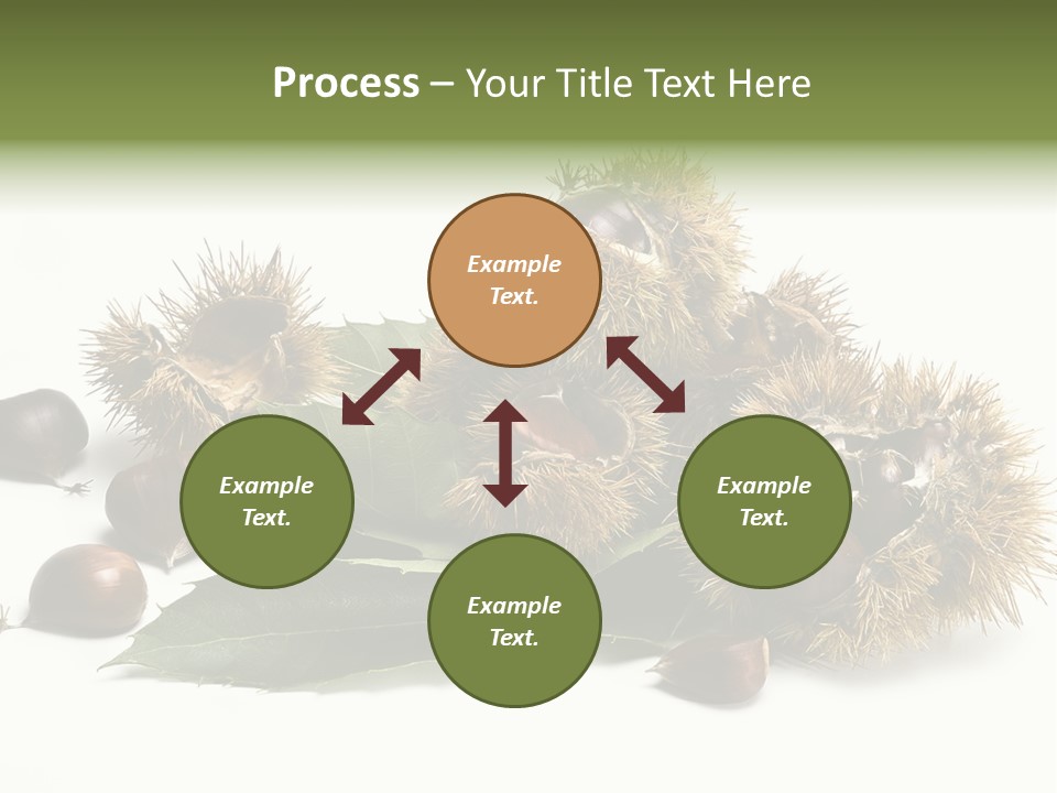 Chestnut White Agriculture PowerPoint Template
