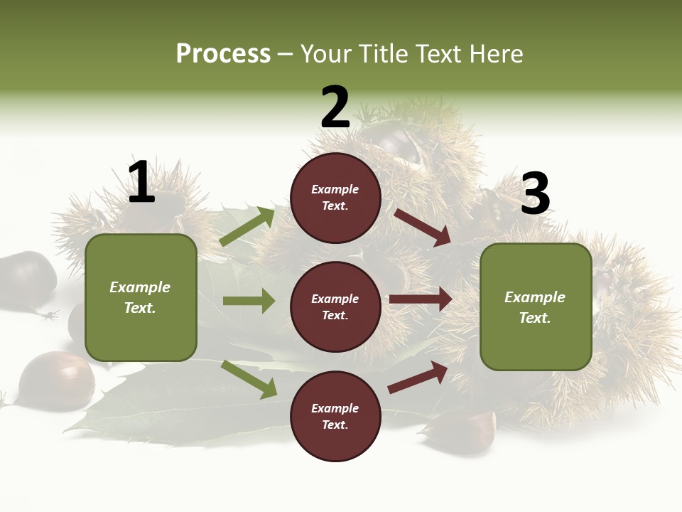 Chestnut White Agriculture PowerPoint Template