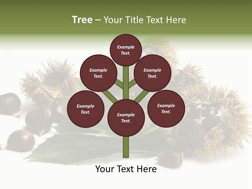 Chestnut White Agriculture PowerPoint Template