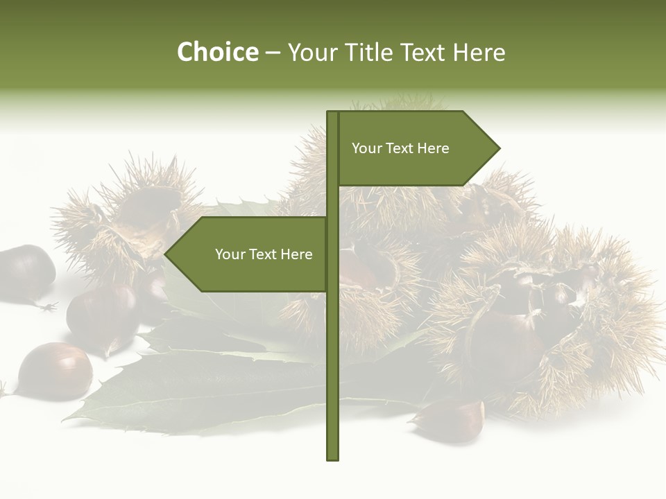Chestnut White Agriculture PowerPoint Template