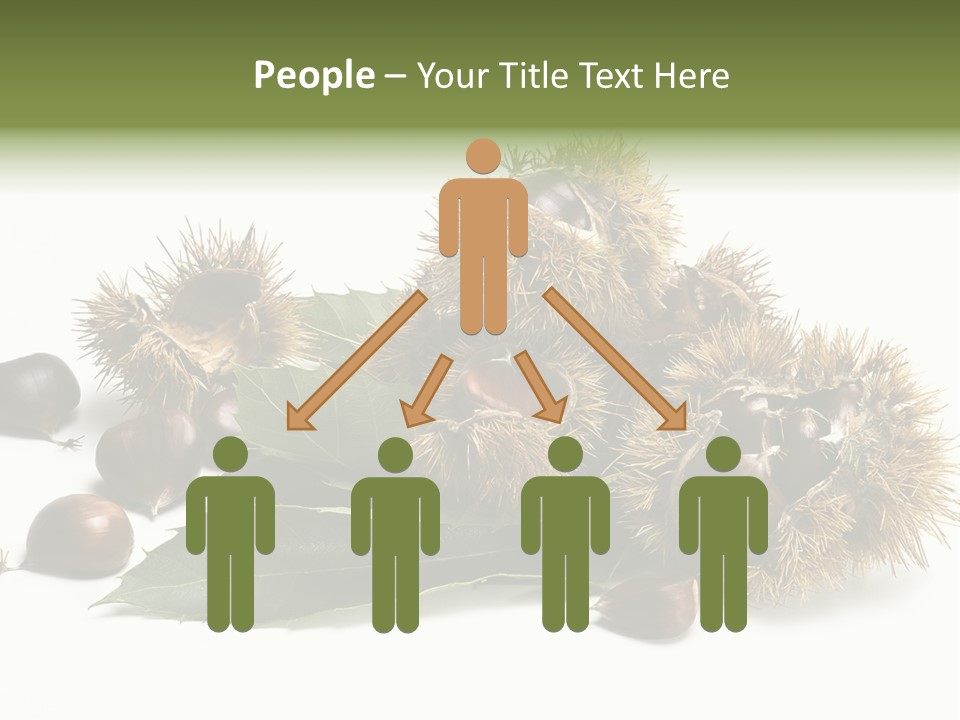 Chestnut White Agriculture PowerPoint Template