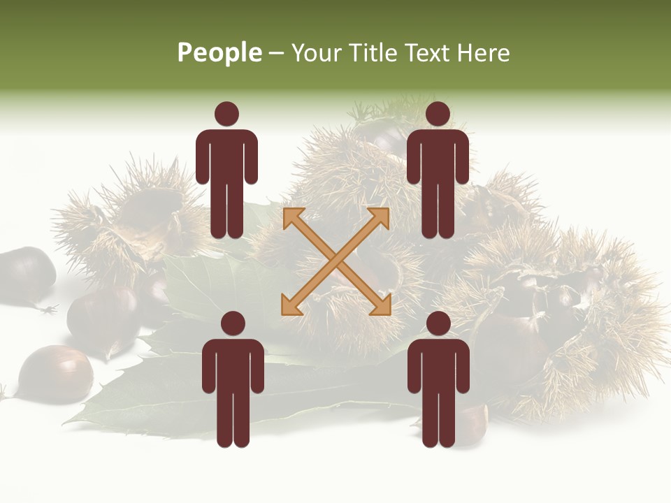 Chestnut White Agriculture PowerPoint Template