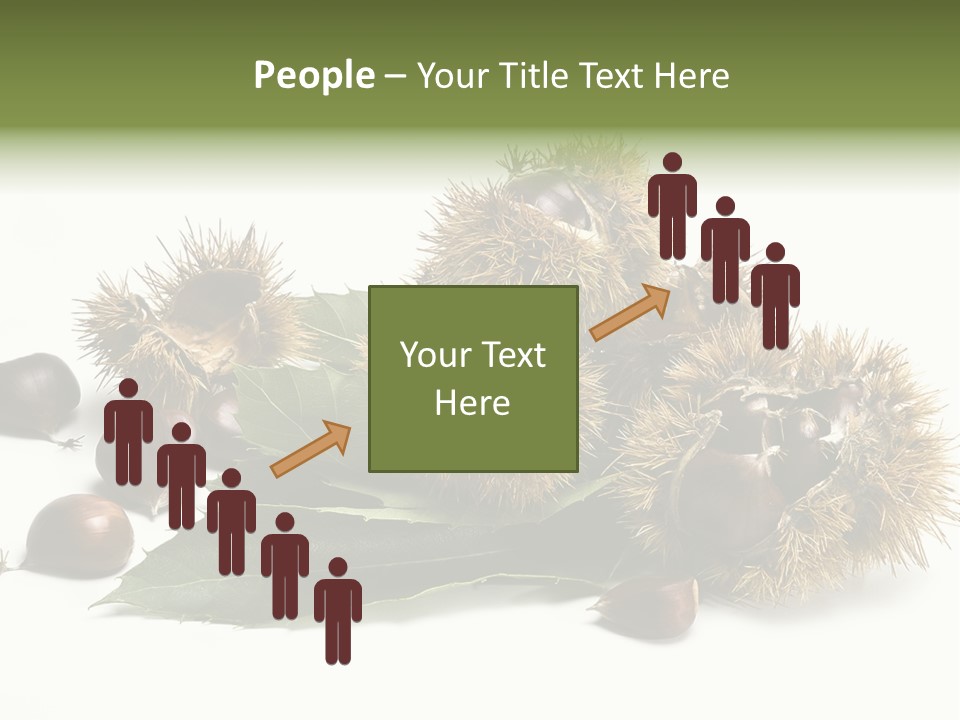 Chestnut White Agriculture PowerPoint Template
