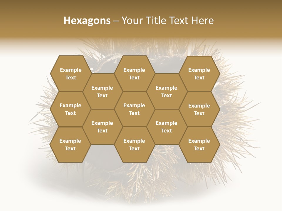 Leaf Edible Spiny PowerPoint Template