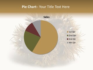 Leaf Edible Spiny PowerPoint Template