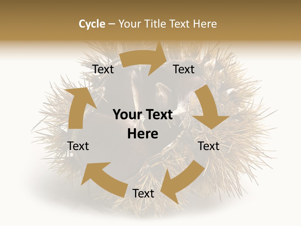Leaf Edible Spiny PowerPoint Template