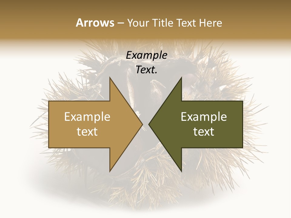 Leaf Edible Spiny PowerPoint Template
