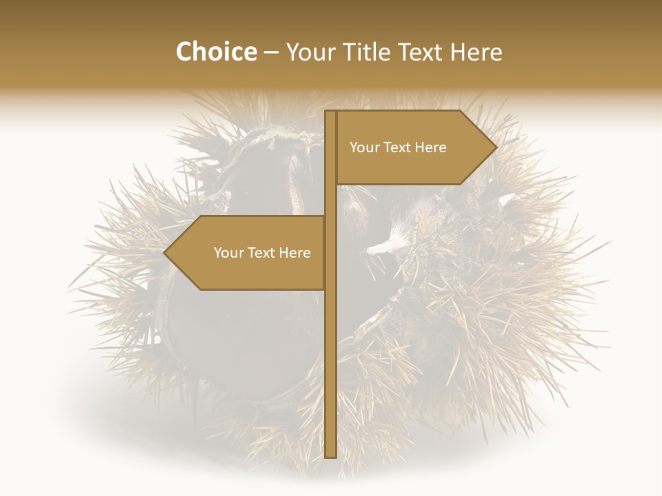 Leaf Edible Spiny PowerPoint Template