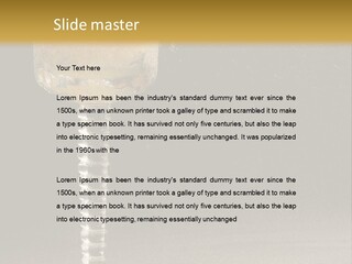 Liquor Garnish Ice PowerPoint Template