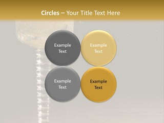 Liquor Garnish Ice PowerPoint Template