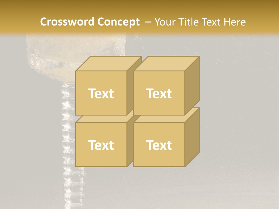 Liquor Garnish Ice PowerPoint Template