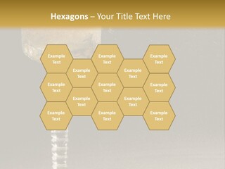 Liquor Garnish Ice PowerPoint Template