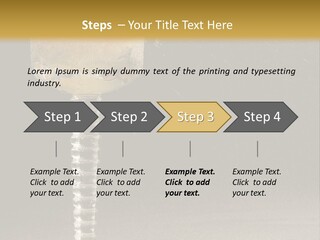 Liquor Garnish Ice PowerPoint Template