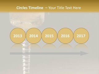 Liquor Garnish Ice PowerPoint Template