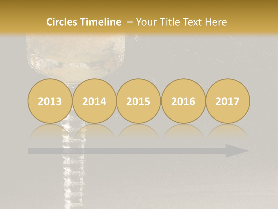 Liquor Garnish Ice PowerPoint Template