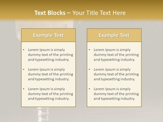 Liquor Garnish Ice PowerPoint Template