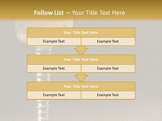 Liquor Garnish Ice PowerPoint Template