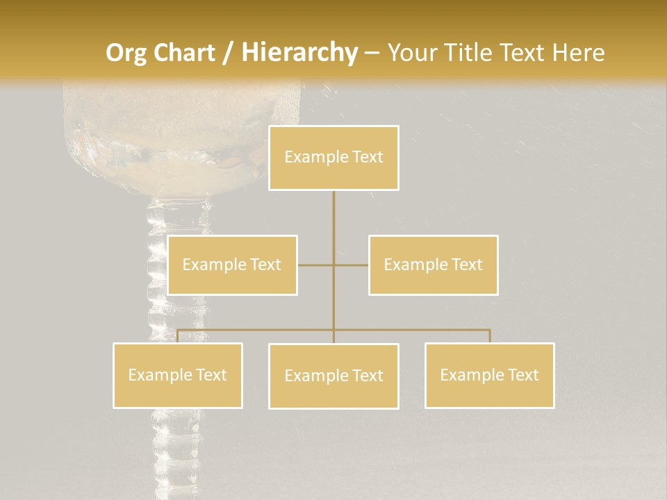 Liquor Garnish Ice PowerPoint Template
