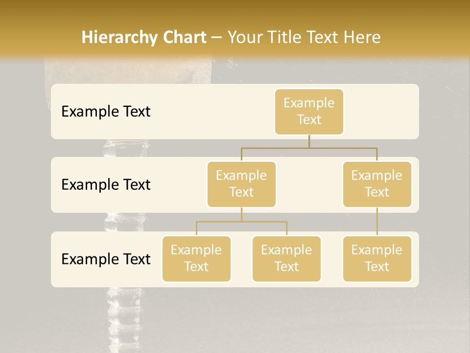 Liquor Garnish Ice PowerPoint Template
