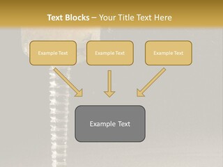 Liquor Garnish Ice PowerPoint Template