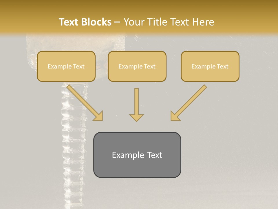 Liquor Garnish Ice PowerPoint Template