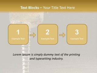 Liquor Garnish Ice PowerPoint Template