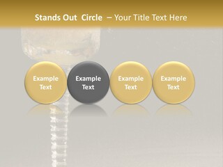 Liquor Garnish Ice PowerPoint Template