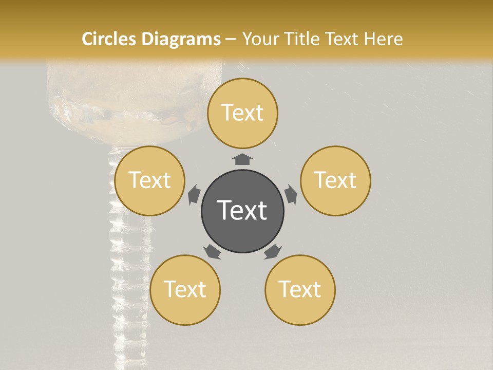 Liquor Garnish Ice PowerPoint Template