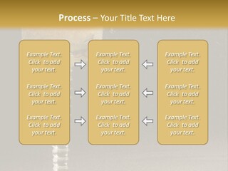 Liquor Garnish Ice PowerPoint Template